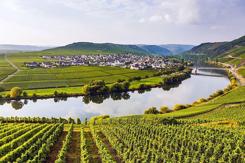 Mosel