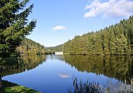 Harz See