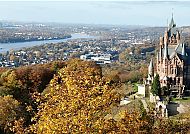 Bonn, Drachenfels