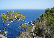 Mallorcas Küste
