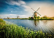 Windmühle nähe Rotterdam