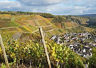 Blick auf den Weinort Dernau im Ahrtal