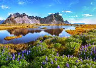 Naturlandschaft Island