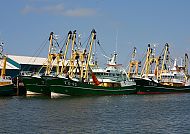 Insel Texel, Fischerboote