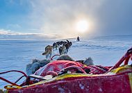 Ausflugsvorschlag: Huskysafari