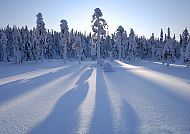 Winter in Lappland