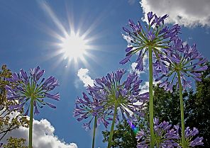 Den Schwarzwald & die Gartenschau 2025 erleben