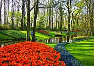 Ausflugstipp: Keukenhof