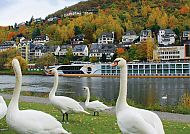 Cochem