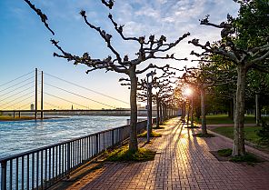 Auf dem Rhein nach Holland 2025