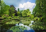 Seerosenteich Giverny