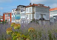 Ferrol