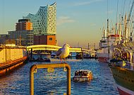 Elbphilharmonie