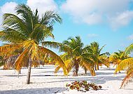 Sirena beach bei Cayo Largo