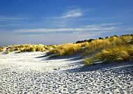 Dünen in Holland