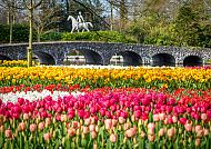 Blütenpracht Keukenhof