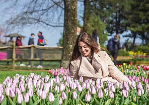 Keukenhof: Kurzurlaub in Holland