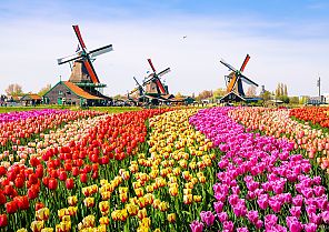 Keukenhof: Schnupperreise Holland