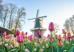 Keukenhof: Holland und Belgien