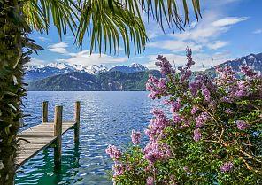 Weggis - Alpenidylle in der Schweiz