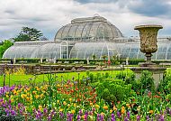 Palmenhaus Kew Gardens