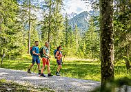 wanderreisen-zugspitze-leutasch-gaistal-wald-wanderweg