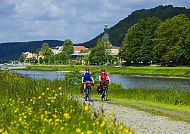 elberadweg-bad-schandau