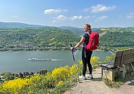 wanderreisen-rheinsteig-rheinblick-wanderer