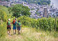 wanderreisen-rheinsteig-ruedesheim-aussicht