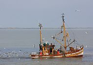 ostfriesland_inselhpfen_langeoog