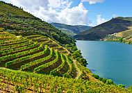 Douro Tal