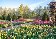 Keukenhof