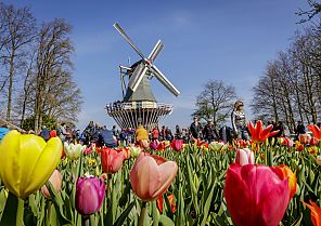 Erlebnis: Keukenhof 2025