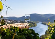 Mosel