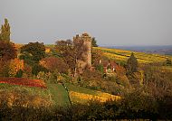 Blick auf Pauliner Schloss