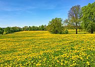 Rad-Erlebnis: Münchner Seenrunde