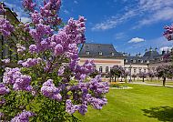 Schlosspark Pillnitz, Fliederhof