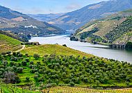 Douro