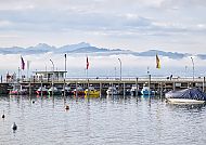 Hafen am Bodensee