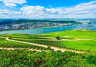 Weinberge bei Rüdesheim