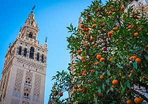 Spaniens Orangenküste Spaniens Orangenküste