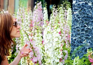 Blütenpracht & Rheinflair: Die LAGA 2026 in Neuss Blütenpracht & Rheinflair: Die LAGA 2026 in Neuss