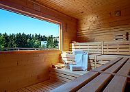 Best Western AHORN Oberwiesenthal, Sauna