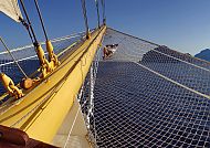 Royal Clipper - Bug